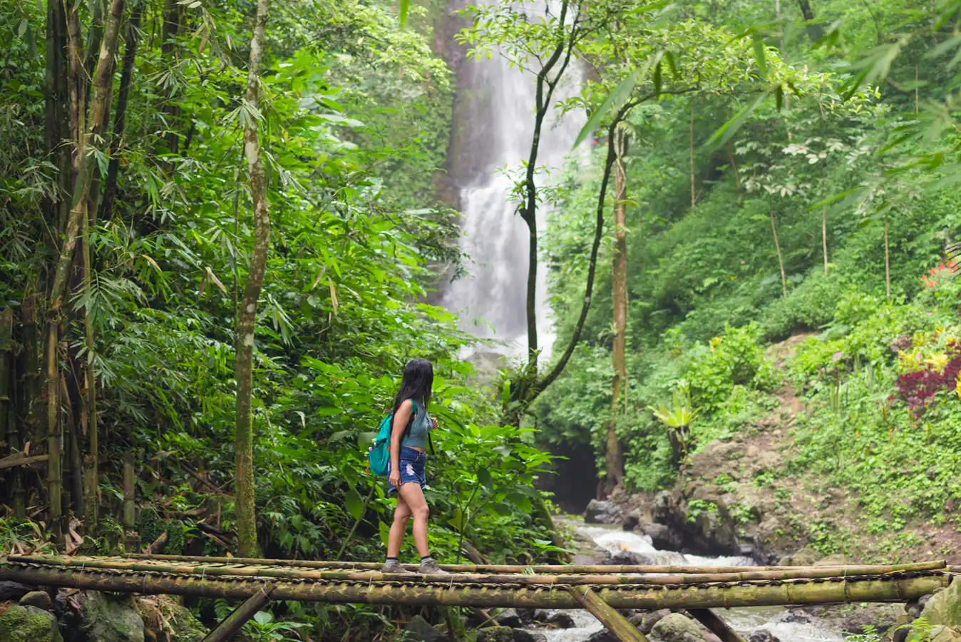 TOUR DEL CENTRO DI BALI - immagine 3