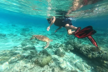 Snorkelling alle isole Gili