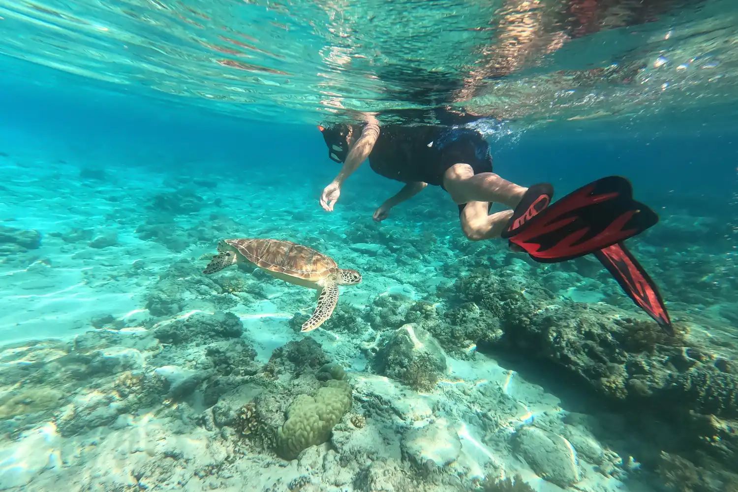 Snorkelling alle isole Gili